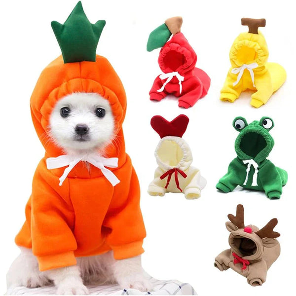 Roupas Fofas para Cães Pequenos